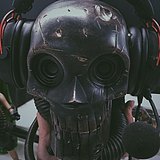 迦灵的头像