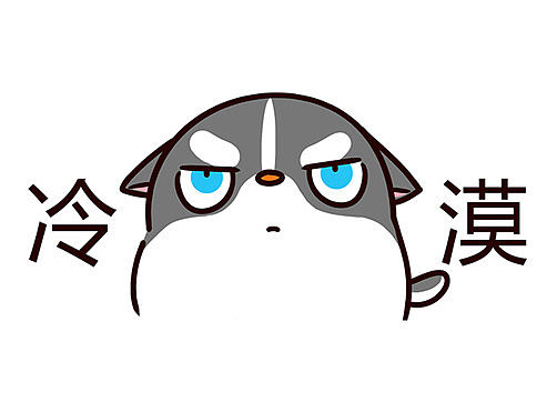 我的主子是真的有点傻——《有家宠物店》