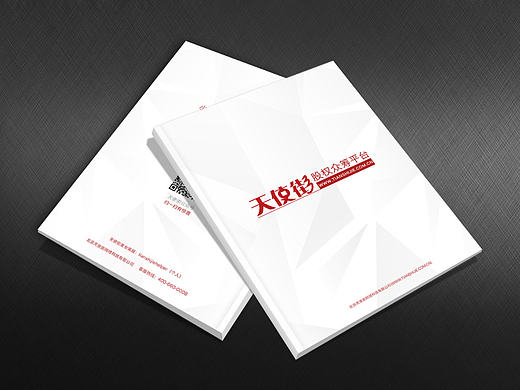 VI畫冊(cè)（個(gè)人主頁-ZNzMyNTkzNg==） - 書籍/畫冊(cè) - 站酷設(shè)計(jì)師代俊嬌原創(chuàng)素材 - 站酷ZCOOL