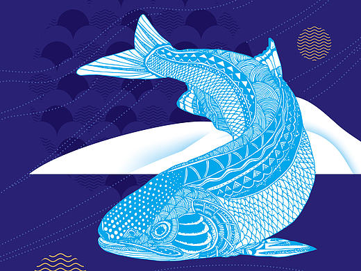 插画，鱼、虾、甲鱼、装饰类型插画