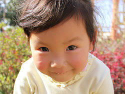 豆豆的生活記錄