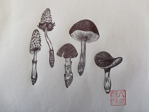 圆珠笔——蘑菇