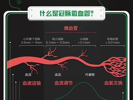 默克－喜格迈CMD专题搭建及运营专区—一图读懂