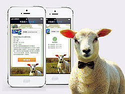 wap（个人主页-ZMjYwNDU0NA==） - 企业官网 - 站酷设计师yue00yue00原创素材 - 站酷ZCOOL