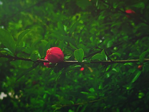 #被忽略的角落（個(gè)人主頁-ZMzE1MzgxNjg=） - 其他攝影 - 站酷設(shè)計(jì)師朝花夕拾丿原創(chuàng)素材 - 站酷ZCOOL