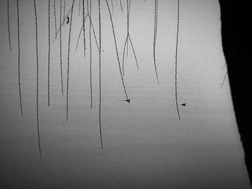 东湖4（个人主页-ZNTE1NDg4NTY=） - 风光摄影 - 站酷设计师PeachYOM原创素材 - 站酷ZCOOL