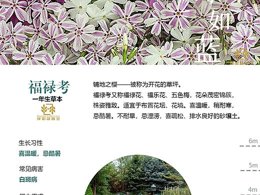 绿如蓝植物拓展