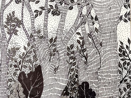 《窗前的树影》