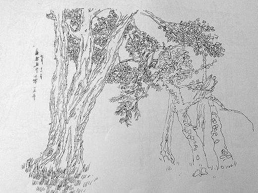 手绘（个人主页-ZMTYzMTExNjA=） - 绘画 - 站酷设计师不二姐原创素材 - 站酷ZCOOL