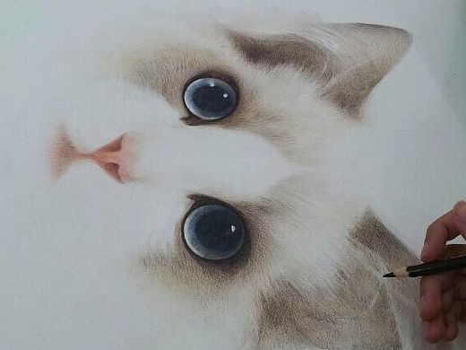 纸上彩铅