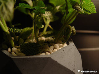 【凝石工作室】混凝土水泥花盆（个人主页-ZNjEyMTEzNg==） - 生活用品 - 站酷设计师凝石设计原创素材 - 站酷ZCOOL