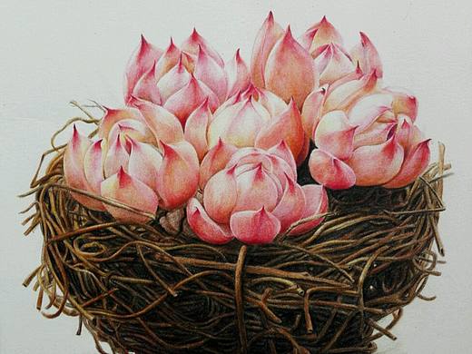 彩铅水蜜桃（个人主页-ZMjAxNjU0ODg=） - 创作习作 - 站酷设计师婳画原创素材 - 站酷ZCOOL