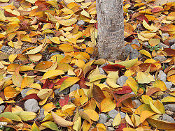 大作业终于做完了