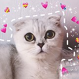 Finnn05的头像