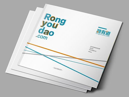 一本金融类画册