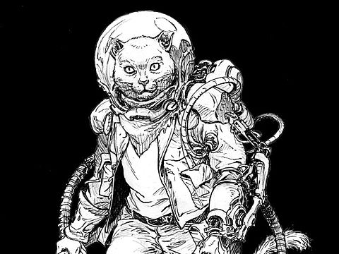 太空猫咪