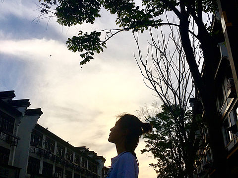 夜游乌镇 西栅