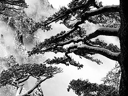 黄山