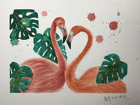 火烈鸟