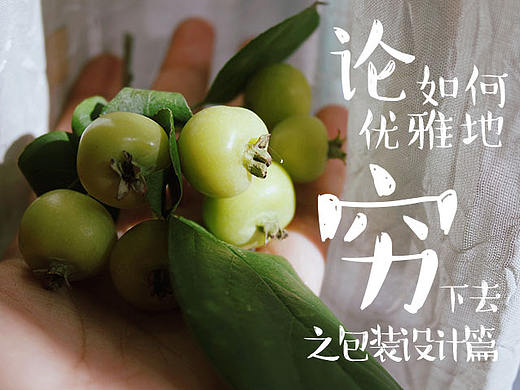 [论如何优雅地穷下去]-包装设计篇