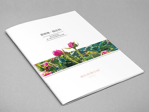 公司简介画册及产品画册