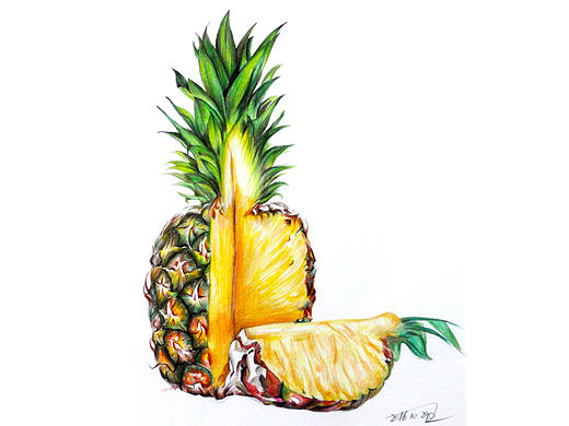 《切开的菠萝》（个人主页-ZMjE1NzAxNTY=） - 商业插画 - 站酷设计师台风喜欢夏天原创素材 - 站酷ZCOOL