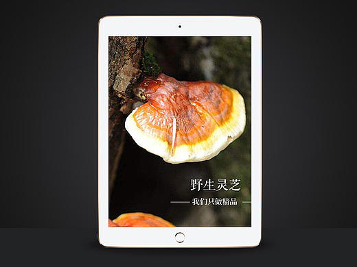 淘宝天猫京东详情页面/灵芝/保健品/宝贝详情页面/宝贝描述/中国风/主图广告设计/banner