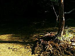 ?肇慶?4天的短游