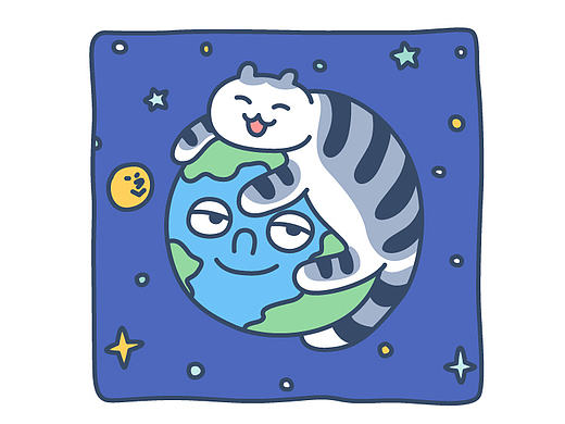 小猫咪成长记