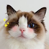 用戶頭像