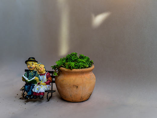 多肉植物（个人主页-ZMTg0NDM0MzY=） - 产品摄影 - 站酷设计师夏天疯了原创素材 - 站酷ZCOOL