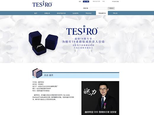 TESiRO通灵珠宝网站  练习