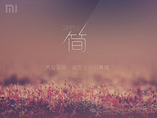 《简》 图标效果