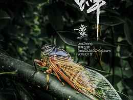 攝影+書法習作