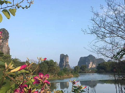 明月寄相思