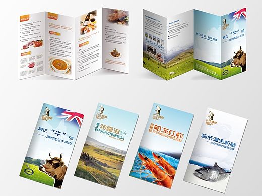 进口食品-产品宣传折页
