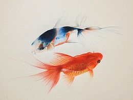 金鱼