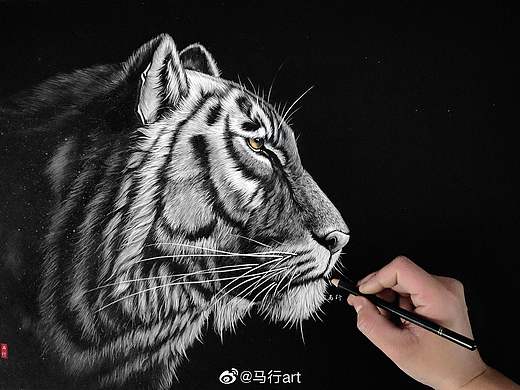 虎