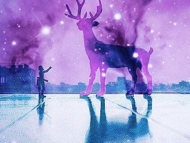 星空下的小鹿