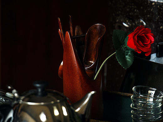 衡水草木人间小景拍摄