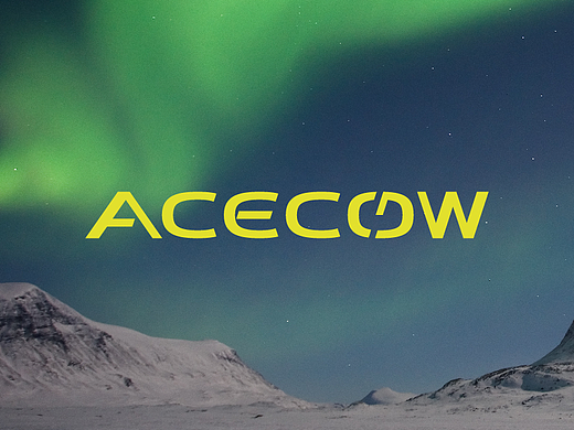 毅设不能停 | ACECOW 户外电源品牌搭建