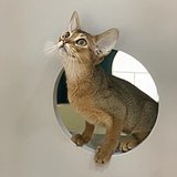 Janny_的头像