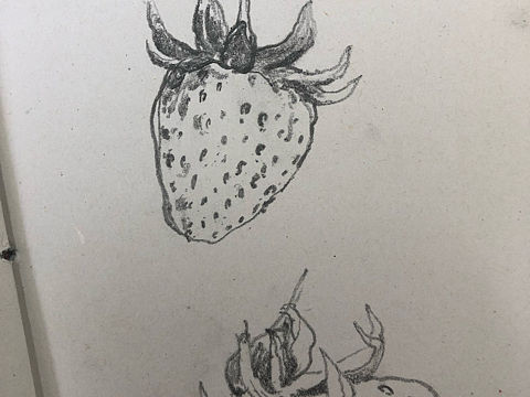 🍓