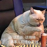 皈依宁姑娘的头像