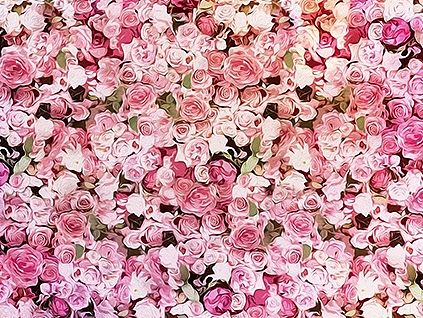 女装淘宝首页 玫瑰