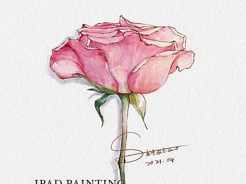 iPad水彩—钢笔淡彩花卉集