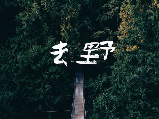 周末去野
