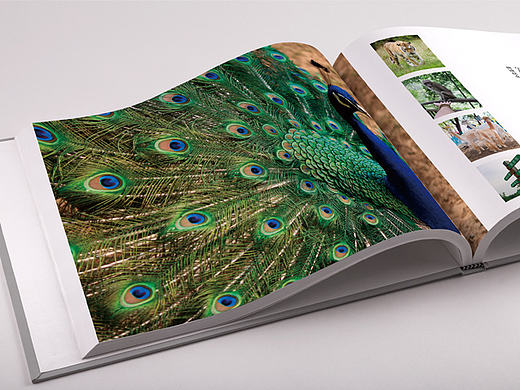 【画册设计】旅游局宣传册