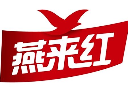 燕来红坚果品牌策划设计|休闲食品电商包装创意设计