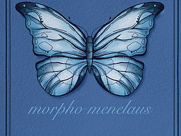 關(guān)于我的2019-2020插畫合集